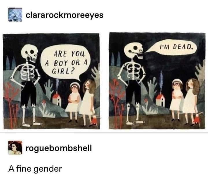 The meme is a simple, two-panel comic. The first panel shows a skeleton asking a child, "Are you a boy or a girl?" The second panel shows the child responding, "I'm dead."
